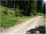 Koprivna (Kumer) - Bistriška špica / Feistritzer Spitze