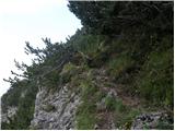 Cave del Predil - Kraljevska špica/Monte Re