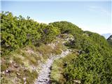 Cave del Predil - Šober / Monte Sciober Grande