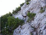 Rabelj / Cave del Predil - Šober / Monte Sciober Grande