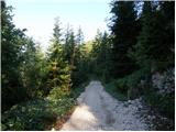 Cave del Mole - Viška planina