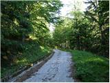 Cave del Mole - Viš/Jof Fuart