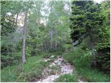 Cave del Mole - Viš/Jof Fuart