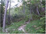 Cave del Mole - Rifugio Corsi