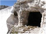 Cave del Mole - Koštrunove špice