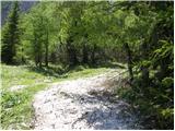 Cave del Mole - Rifugio Corsi