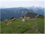 Erjavčev rovt - Planina Dovška Rožca