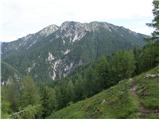 Erjavčev rovt - Planina Dovška Rožca