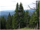 Erjavčev rovt - Planina Dovška Rožca