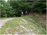 Erjavčev rovt - Planina Dovška Rožca