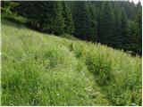 Erjavčev rovt - Planina Dovška Rožca