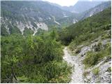 Turkov rovt (Vrata) - Triglav