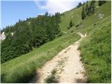 Planina pod Golico - Koča na Golici