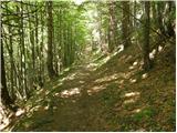 Planina pod Golico - Golica