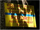 Gozd - Koča na Kriški gori