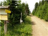 Waldheim Hütte - Zirbitzkogel (Seetaler Alpe)