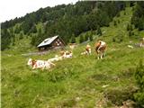 Waldheim Hütte - Dr. Kohler Hutte (Seetal Alps)