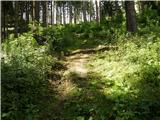 Maria Buch - Liechtensteinberg (Seetal Alps)