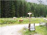 Parking place below Nassfeld - Monte Cavallo / Rosskofel