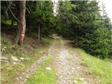 Walischeben  - Hofalmkogel (Packalpe)