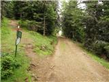 Walischeben  - Hofalmkogel (Packalpe)