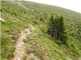 Walischeben  - Speikkogel (Packalpe)