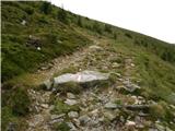 Walischeben  - Hofalmkogel (Packalpe)