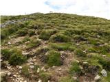 Waldheim Hütte - Fuchskogel (Seetal Alps)