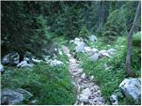 Planina Blato - The lake Rjavo jezero