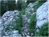 Planina Blato - The lake Rjavo jezero