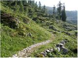 Konec ceste na Vogar - Planina Lopučnica