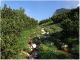 Planina Blato - Zeleno jezero