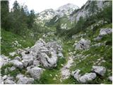 Planina Blato - Rjavo jezero