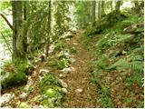 Planina Blato - Koča na Planini pri Jezeru