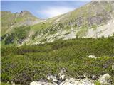 Etrachsee - Oberer Wildenkarsee