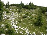 Rudno polje - Debeli vrh above Lipanca