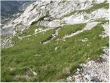 Planina Ravne - Planjava