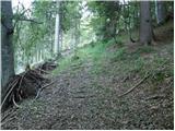 Ovčja vas / Valbruna - Planina Ravna