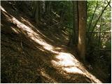 Ovčja vas / Valbruna - Planina Strehica