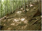 Valbruna - Planina Strehica