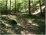 Valbruna - Planina Strehica