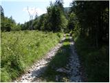 Valbruna - Planina Strehica