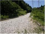 Valbruna - Planina Strehica