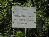 Valbruna - Planina Strehica