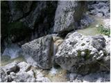 Bele vode - Bivak Gorizia