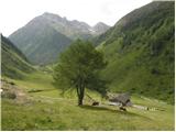 Volkzeinalm - Hochalmspitze (Villgraten)