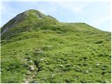 Rifugio Tolazzi - Rauchkofel