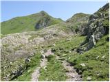 Rifugio Tolazzi - Rauchkofel