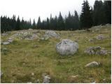 Planina Blato - Debeli vrh