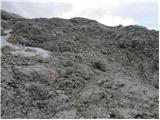 Gozdec - Visoki Kanin